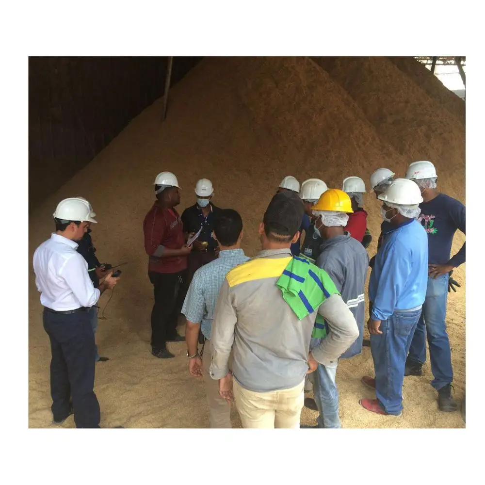 Advanced Biomass Power Plant 20KW to 20MW