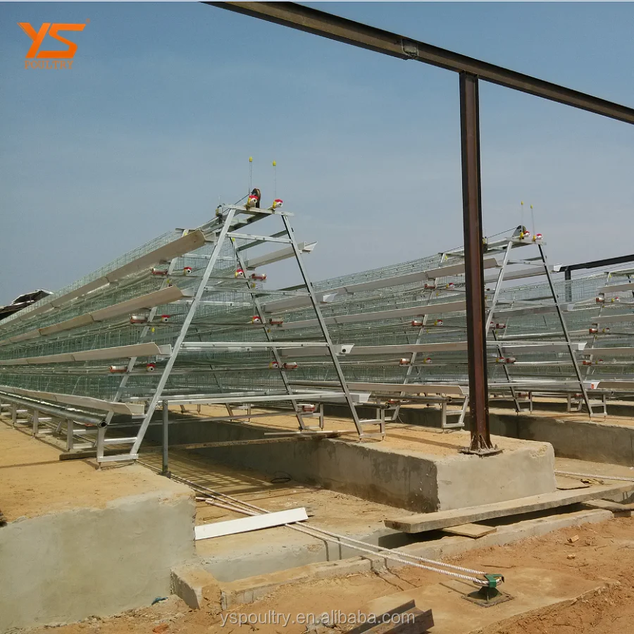 Chicken Layer Poultry Cage With Poultry Farm House Design Service