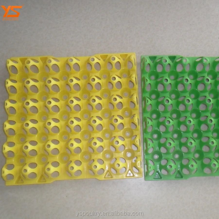 Factory Sale Plastic Egg Tray Made By PE Plastic