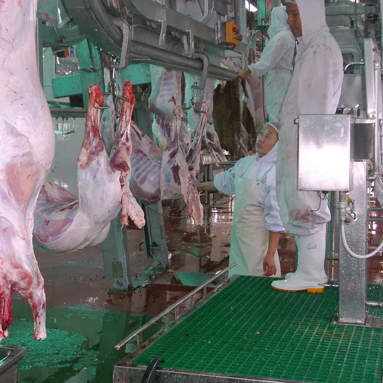 Slaughter Line Beat Price Halal Stainless Sheep Hide Puller