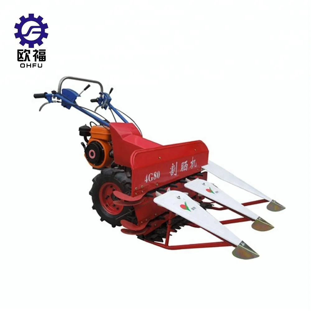 Large automatic 55hp 4wd  tractor prices/alfalfa cutter