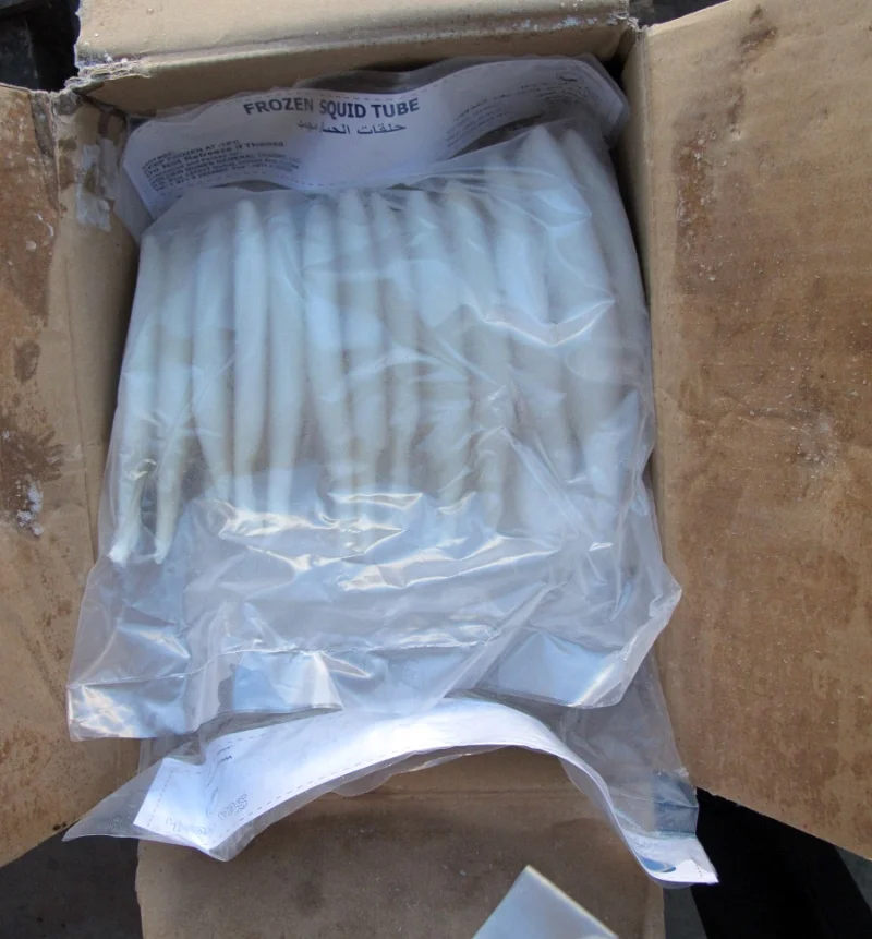 
frozen squid tube U1-U20 