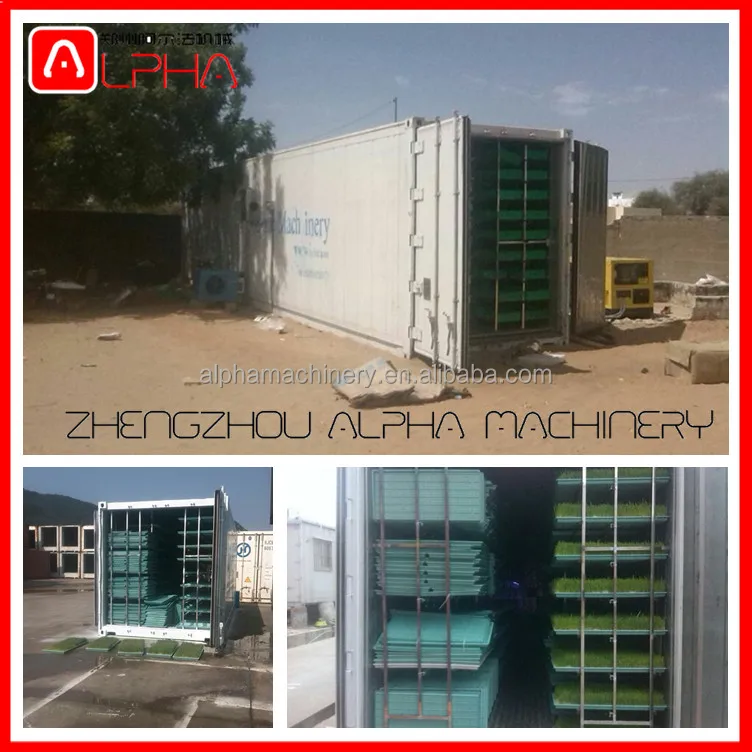 Hydroponic Automatic Barley fodder machine system / cattle green fodder growing machine / mung bean sprouts making machine