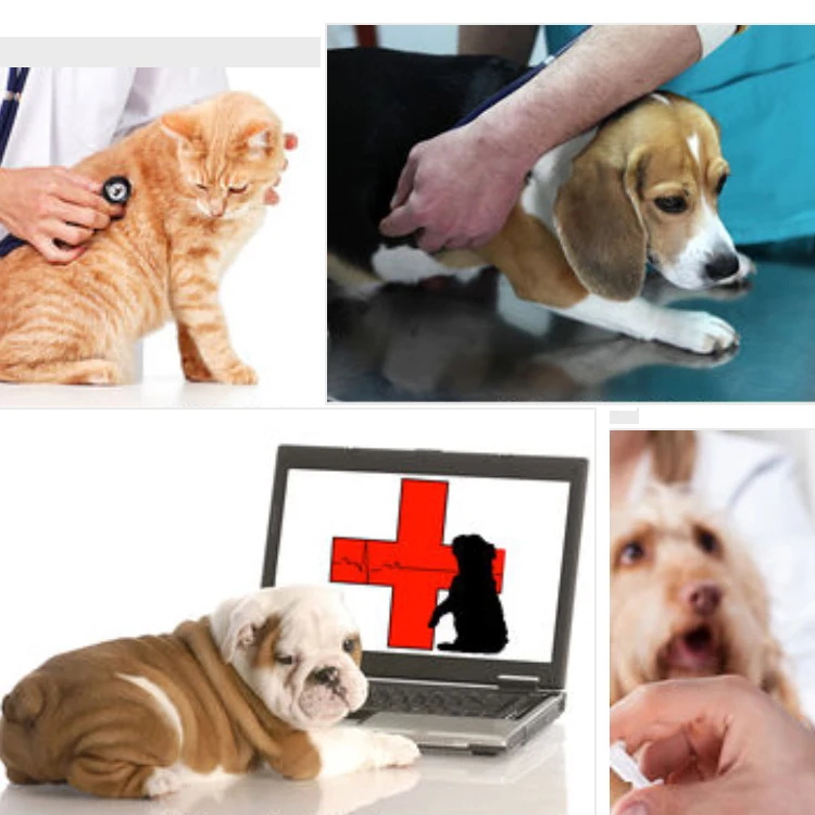 High quality crazy selling frequency surgical instrument/generator/equipment/unit