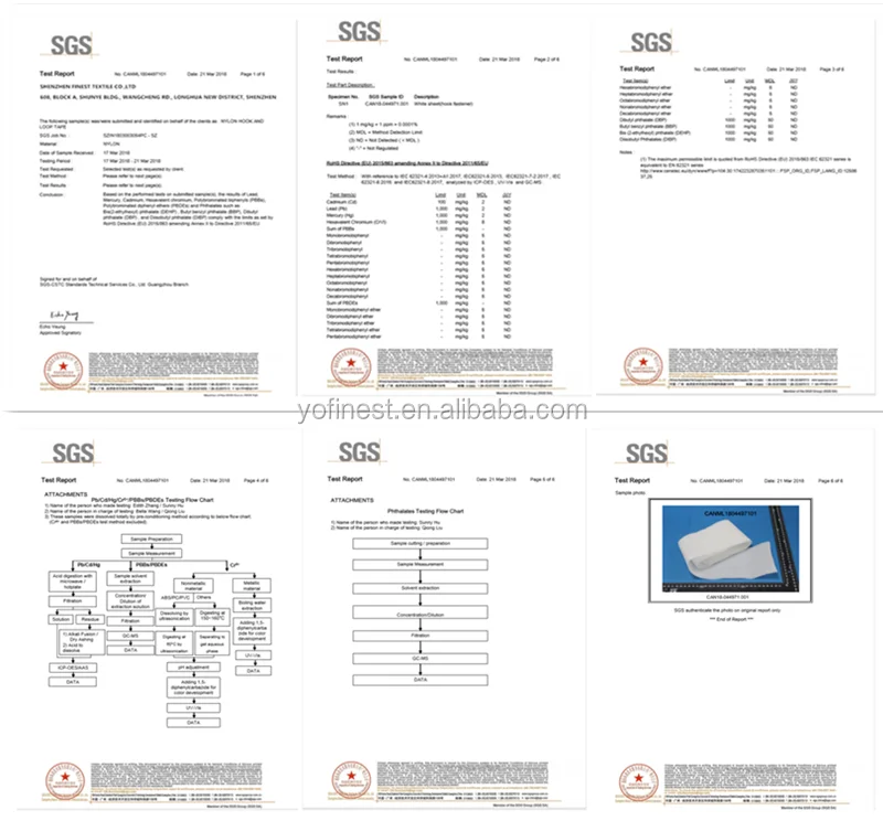 SGS1-3