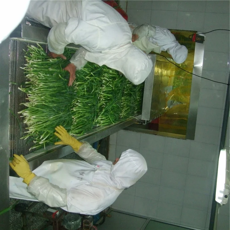 
Frozen Scallion Green Onion 