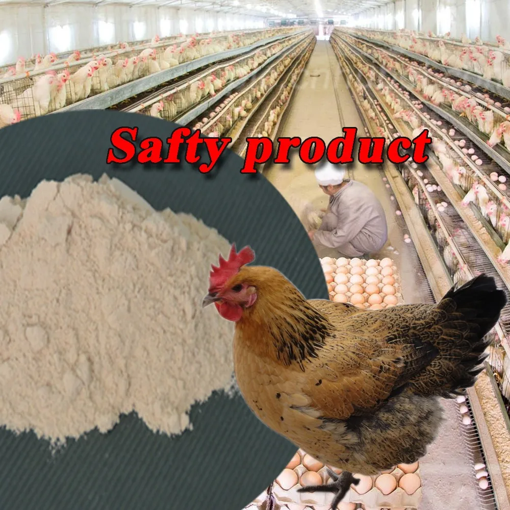 
Biological Feed Additive Bacillus Subtilis Fermentation 