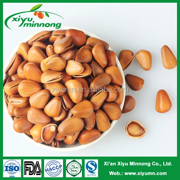 pine nuts, pine kernels with shell