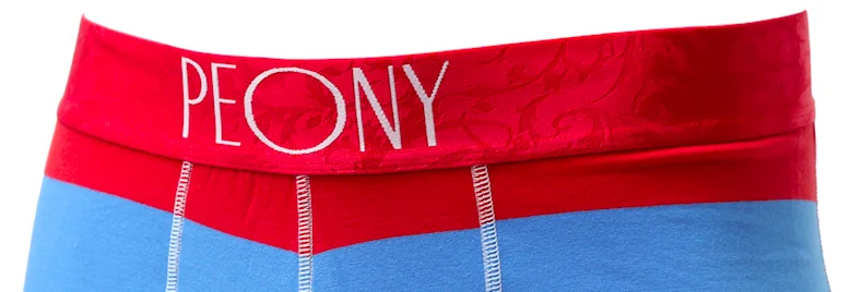 
Wholesale red blue stripe eco-friendly men organic cotton underwear boxer 