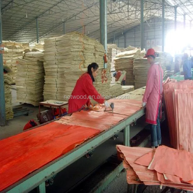 WBP Glue low price good quality 18mm film face waterproof plywood in sale