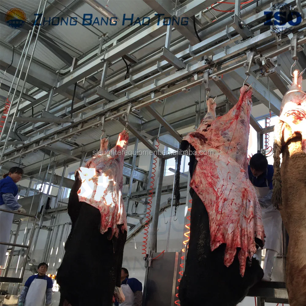 carcass dressing line for cattle abattoir slaughterhouse