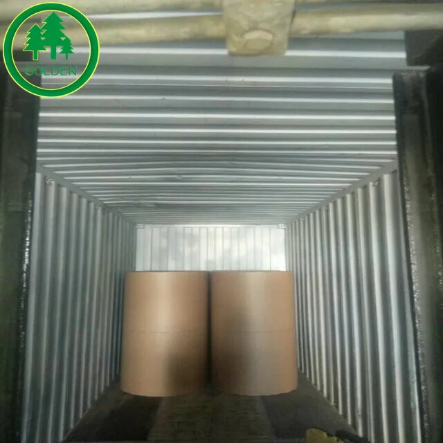 170gsm 190gsm 210gsm 230gsm 250gsm 270gsm 300gsm 350gsm 400gsm C1S ivory board/FBB/Folding box board