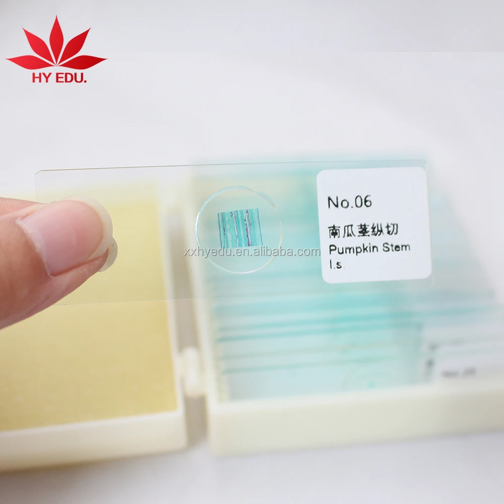 Most popular 100pieces Slide Storage wooden pathology microscope slides box