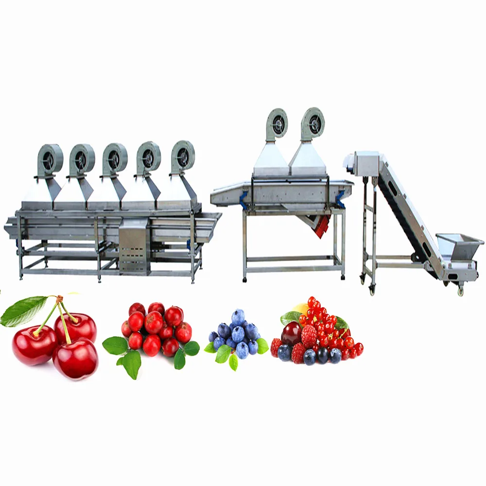 Fruits and Vegetables Processing Line for Olive Washing Machine with Olives Sorting Equipment