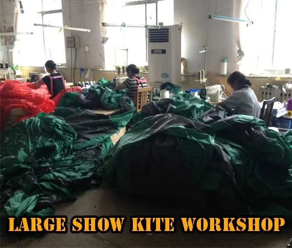 3D Large Inflatable kite from professional kite factory