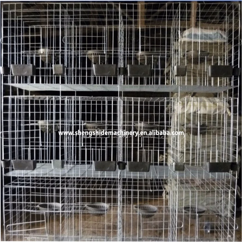 high quality direct produce pigeon breeding cage design