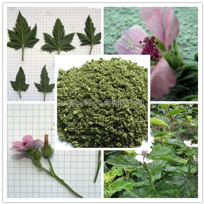 
Yao shu kui ye raw material herbals Common Marshmallow Leaf 