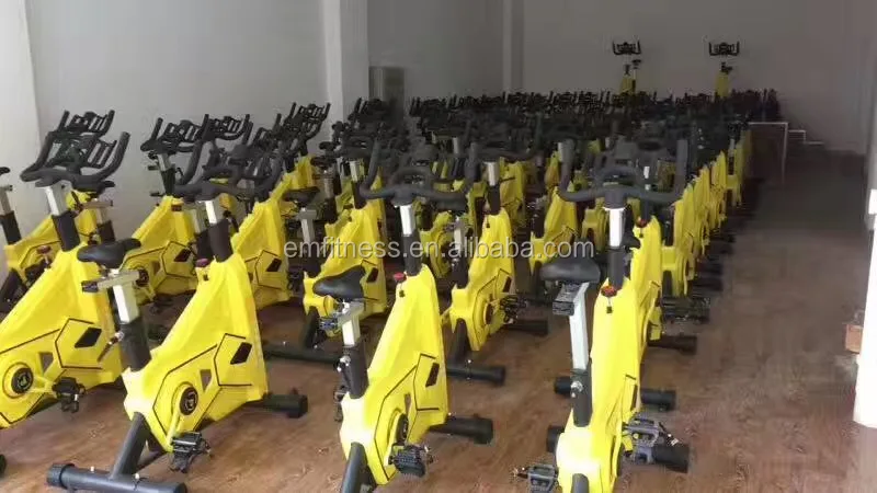 Indoor spinning bike commercial exercise spinning bike swing spin bike EM7300