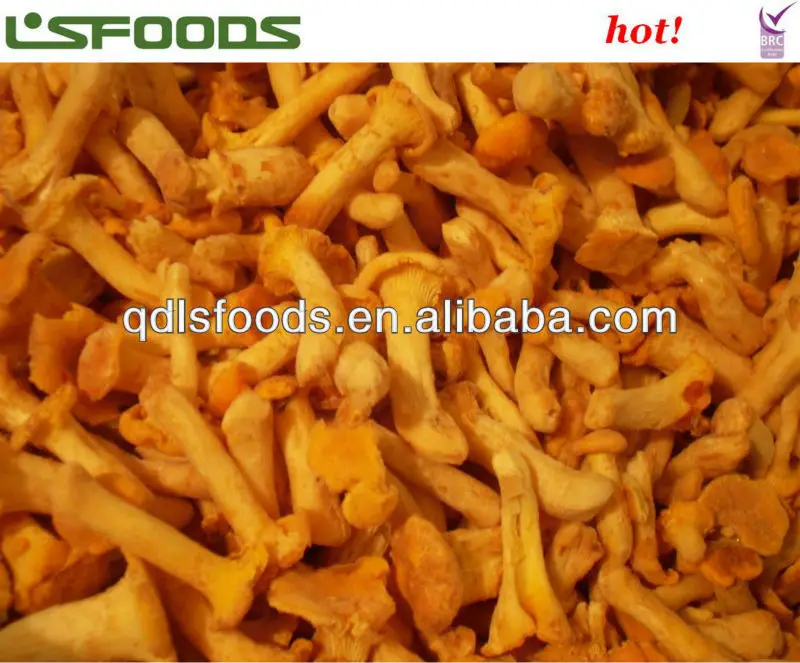 
best price new crop IQF frozen Chanterelles 
