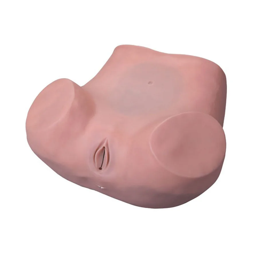 MCT-KD-410 Gynecological Training Model