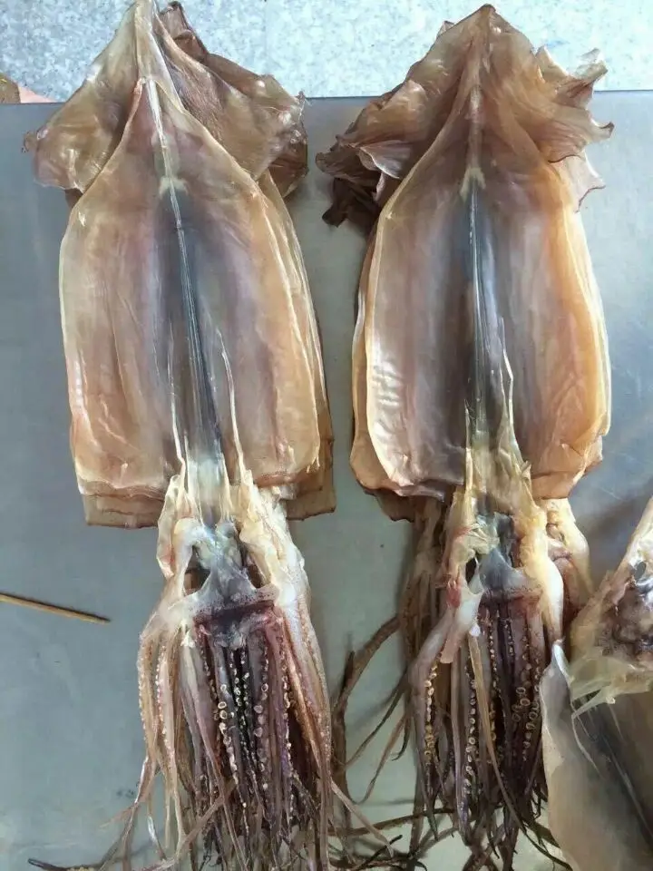 
export wholesale supplier of all types of seafoods dried squid 