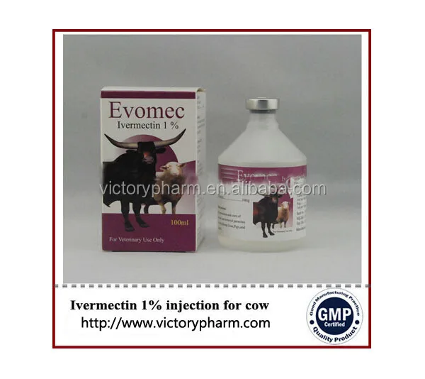 
Best price Ciprofloxacin solution antibiotic drug 10% for large animal 