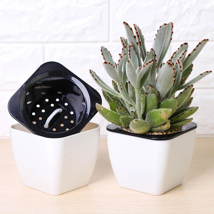 newest rectangle shape plant nursery home and garden decoration succulent Self Watering plants flowerpot