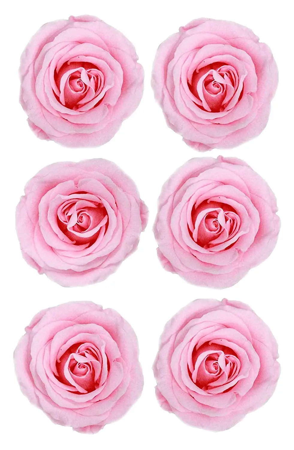 wholesale long lasting  flowers preserved roses for valentines day