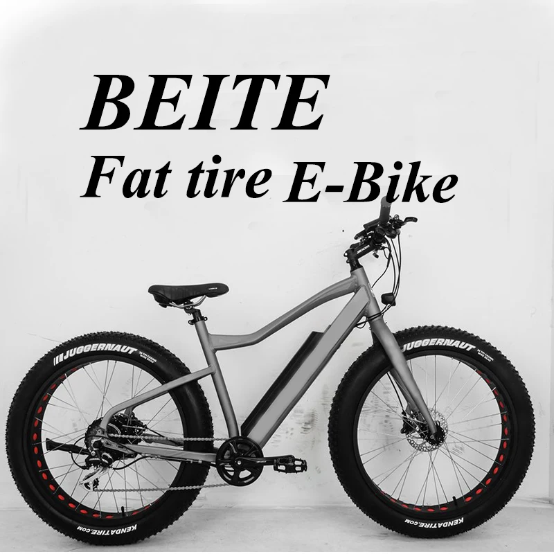 Style Fat Tyre Electric Bike USA Lithium Battery 1:1 48V Rear Hub Motor Aluminum Alloy 15 Kva Lithium Battery for Solar System
