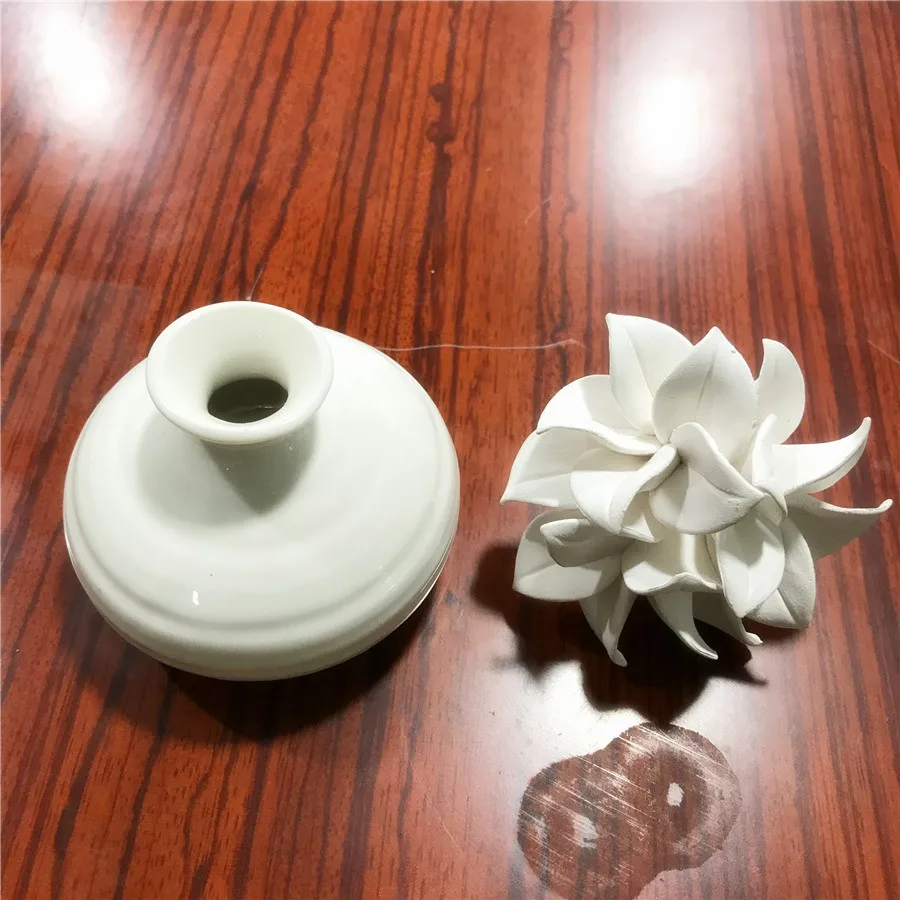 
Ceramic Aroma Stone Ceramic Flower Bottle Reed Diffuser Home Decor 