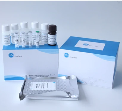 Reaserch use Human IL-15(Interleukin 15) ELISA Kit