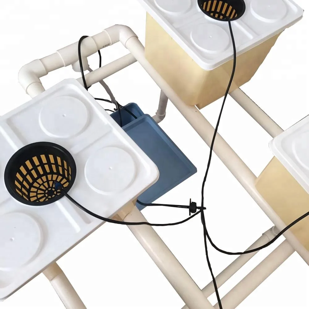 Food-grade Material Hydroponic  Dutch Bato Bucket Hydroponic Growing Systems