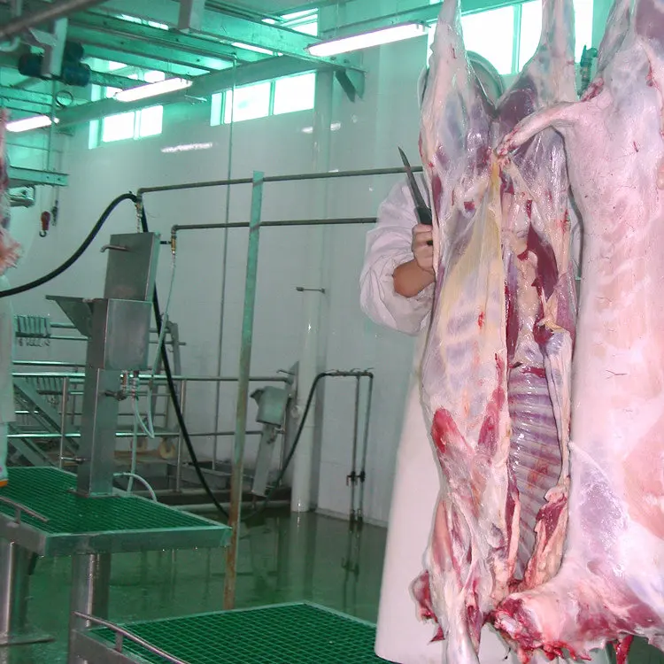 Slaughter Line Beat Price Halal Stainless Sheep Hide Puller