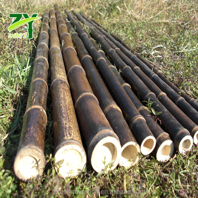 
ZY-1006 Chinese Factory Price Nigra Bamboo Poles Black Bamboo 