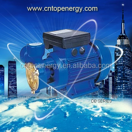 220V China Supplier Cheap Price DB Series DB125 GP129 GP200 Electric Clean Water Pump 125W 150W 1 Inch Outlet Vortex water pump