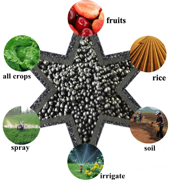 Liquid Organic Fertilizer Plant Fertilizer China Fertilizantes Agricolas Argo 70% Humic Acid