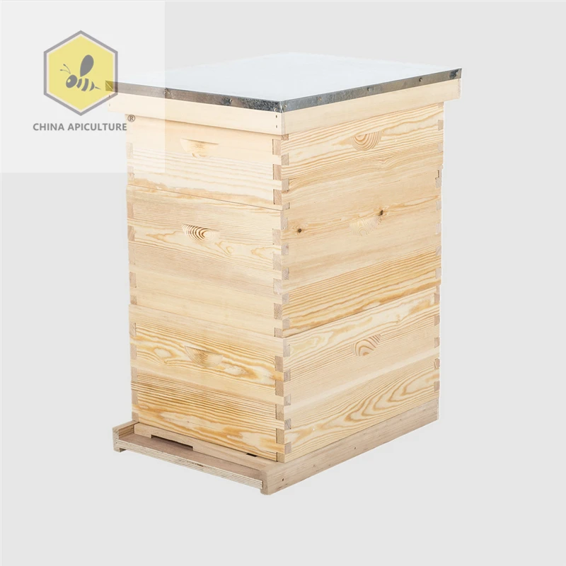 New products apiculture equipment beehive langstroth bee hives for apicoltura