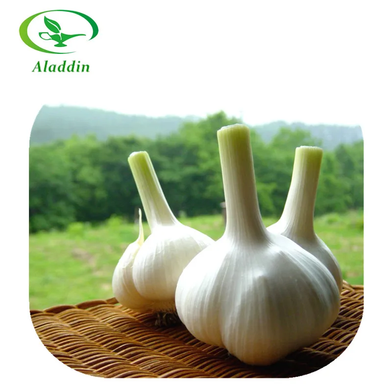 Garlic Powder