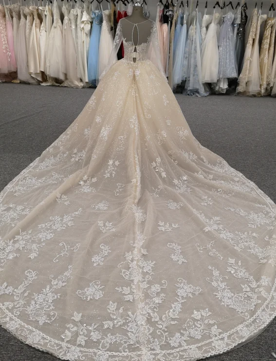 Champagne Wedding Dress 2021 Luxurious Long Sleeves Embroidered Cathedral/Royal Train Wedding Ball Grown