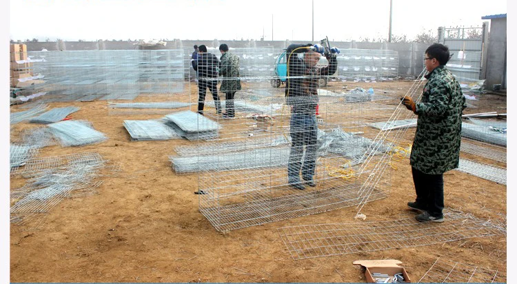 high quality quail cage for sale,quail laying cage, cages for quail ( lydia whatsapp: +8615965977837)