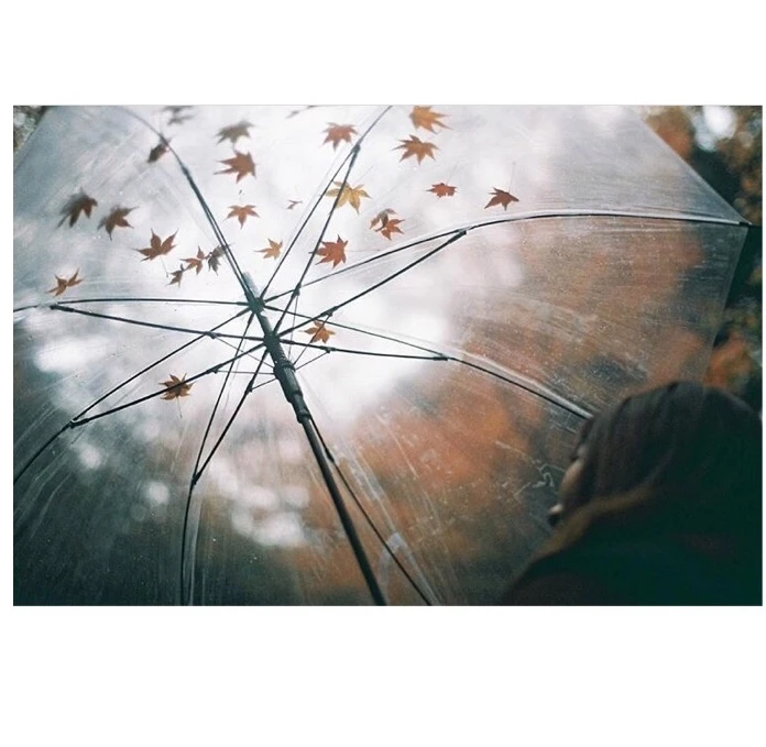 Wholesale cheap poe clear umbrella disposable transparent umbrella