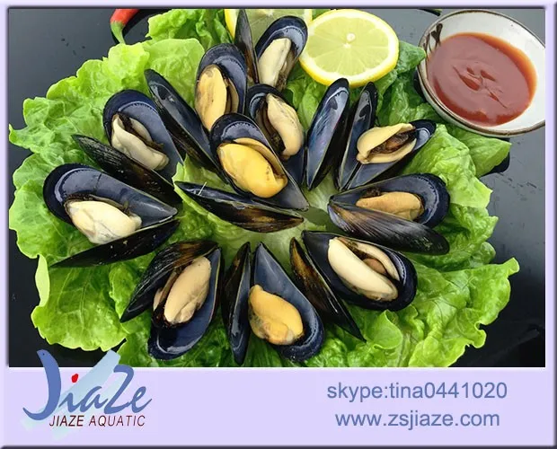 
Seafood Frozen cooked mussel meat 