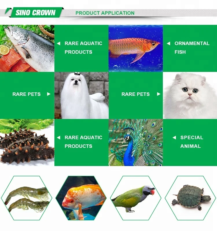  Antioxidation Unsaturated Fatty Acids Mealworms