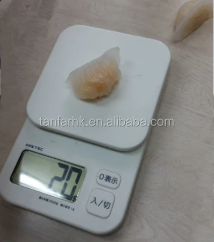 JG-50C shrimp dumpling machine/ Har gow/dumpling Maker Machine and Equipment