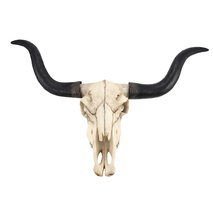 Custom Wall Cow Resin Longhorn Skull Bull Head