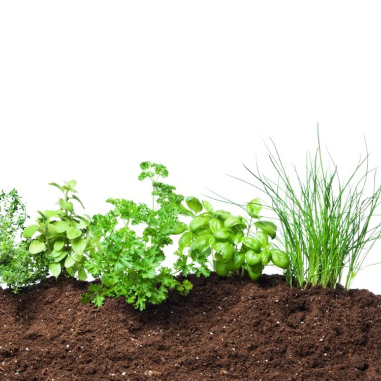 
buy bulk bag soil improver for sandy soil 