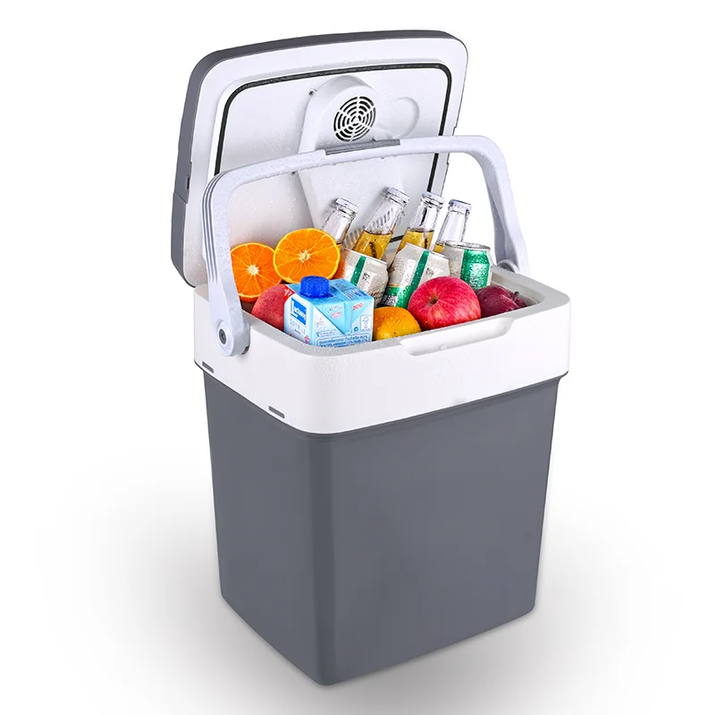 30L Electric Car Refrigerator Cooler  Thermoelectric Cooler And Warmer