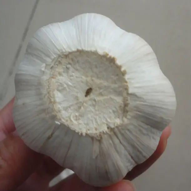 
 Китайская Цена Чеснока 2018/свежий красный чеснок цена/экспортеры чеснока Китай  