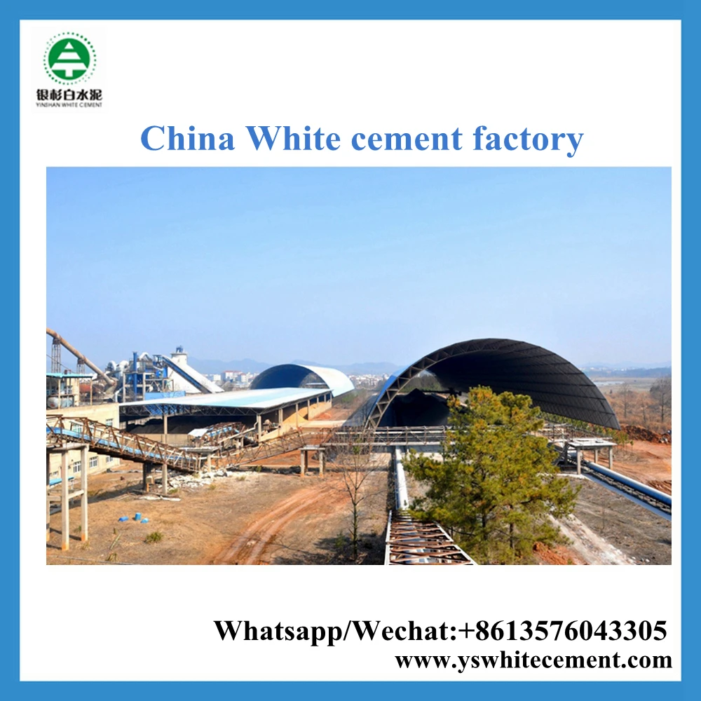 SDH White cement for asian paint wall putty powder price