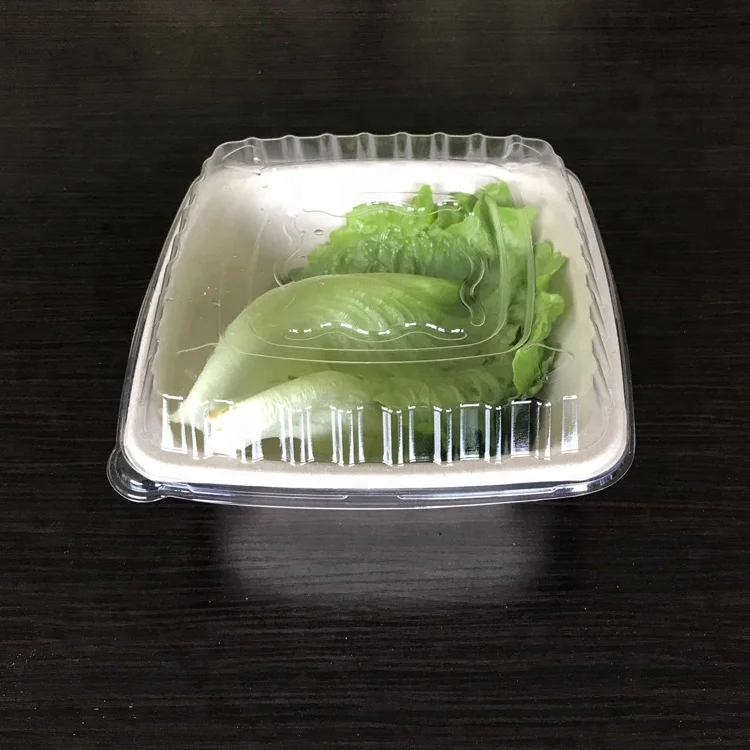 32 oz Sugarcane Biodegradable Disposable food containers Bagasse Paper Salad Bowls